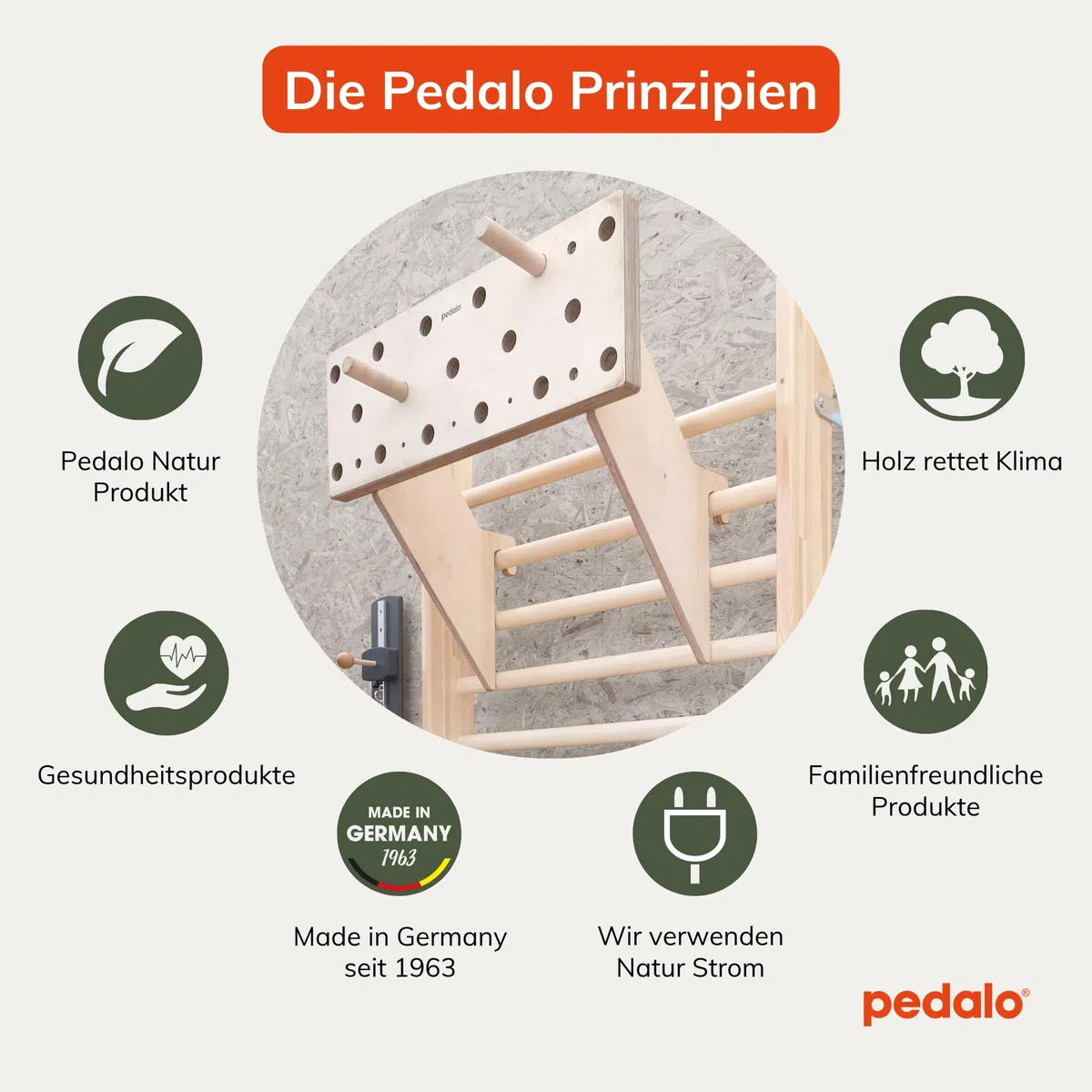 pedalo® Kletter Trainingsboard 300 I Kletterboard I Pegboard I Klettern I Griffkraft I Bouldern I Hangboard I Klimmzug I Fingertraining