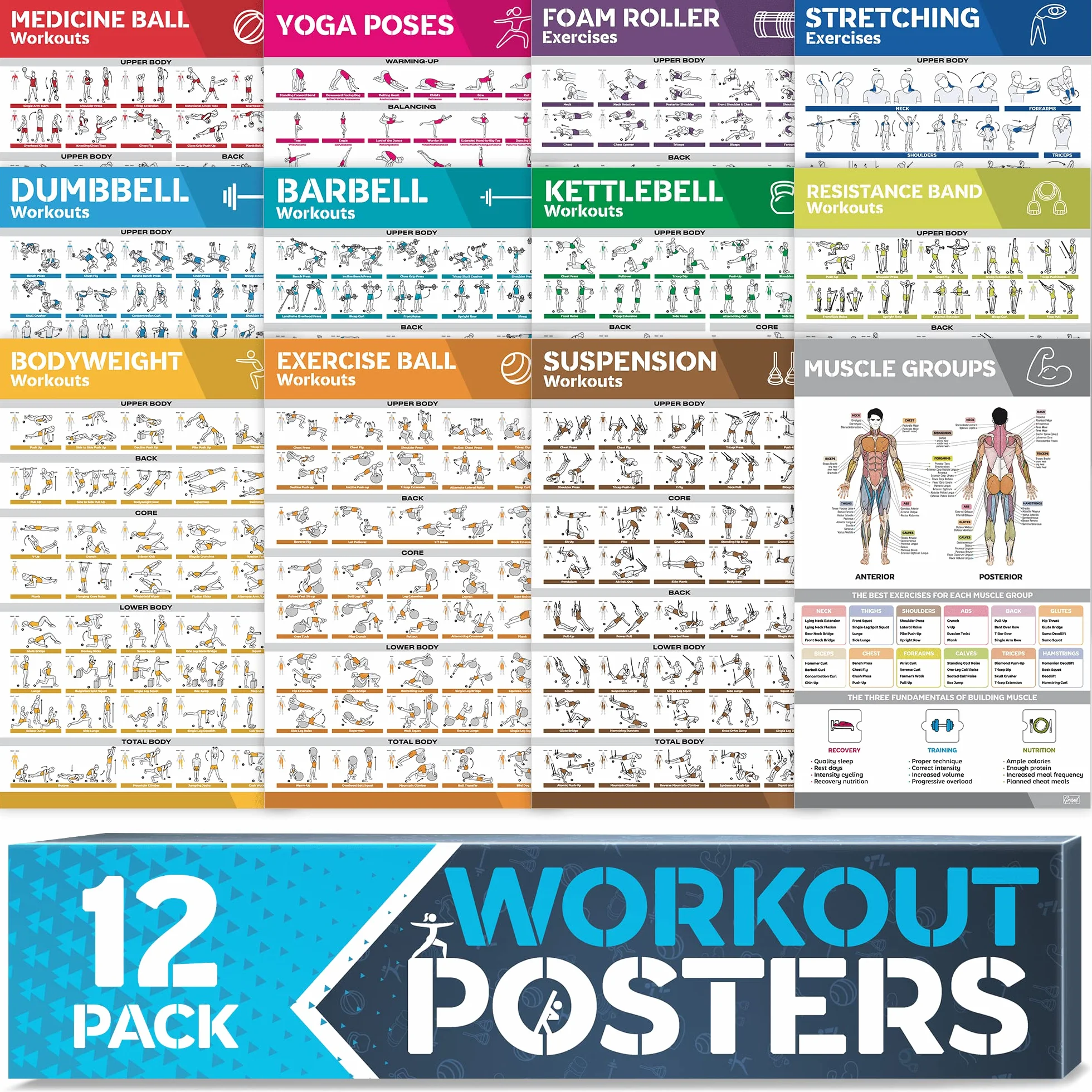 Laminiertes großes Workout-Poster-Set – perfekte Workout-Poster für das Fitnessstudio zu Hause – inkl.Übungstabellen, 12er-Set Hantel-, Yoga-Posen, Widerstandsband-, Kugelhantel-, Stretching- usw.