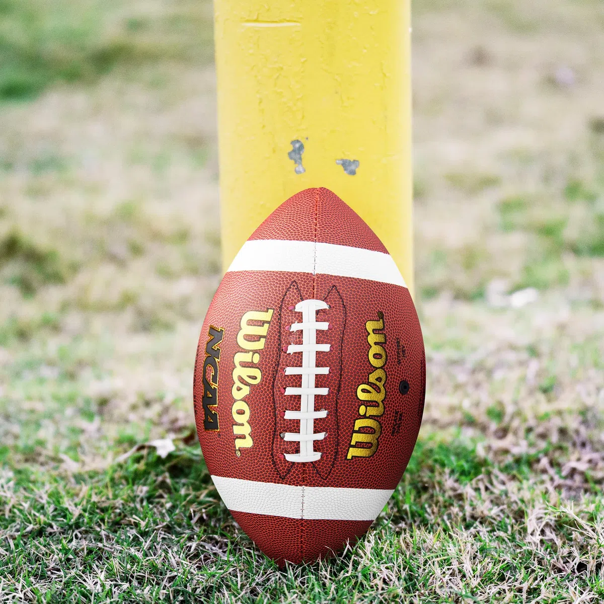 Wilson Offizieller NCAA-Fußball