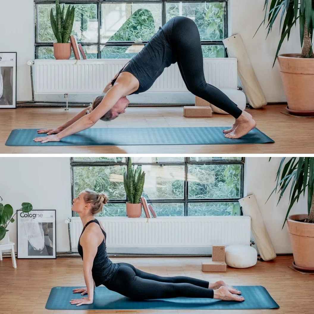 Bodhi Yogamatte ECO PRO XL | Extrem Rutschfester Naturkautschuk | Extra Lang | Ökologisch | Profi-Matte für Yoga & Pilates | Ideal für dynamisches Yoga | 200 x 60 x 0,4 cm