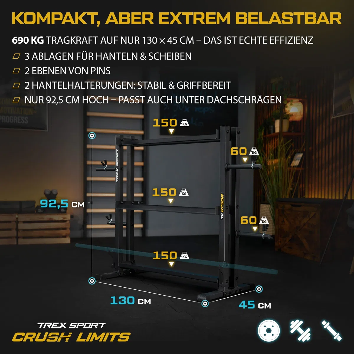 TREX SPORT Hantelablage Gewichteständer für Home Gym bis 690 kg TX-075DR | Stahl Hantelständer für Hantelscheiben, Hantelstangen, Kurzhanteln, Trainingszubehör, stabil, rutschfest