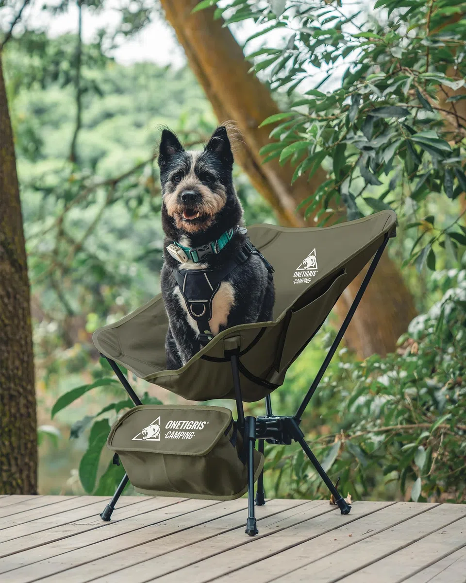 OneTigris TIGERBLADE Campingstuhl faltbar 150 kg, Klappstuhl Camping leicht Dreiecksrahmen, Faltstuhl Ultraleicht, mit 2 Seitentaschen für Outdoor, Wandern