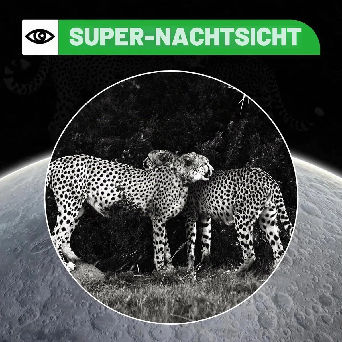 Coolifepro WLAN-Fotofalle Bluetooth, Mini 32 MP 1080P Jagdkamera mit IR Nachtsicht wasserdicht IP66 Fotofalle mit 32 GB SD-Karte für die Überwachung der Wildtiere