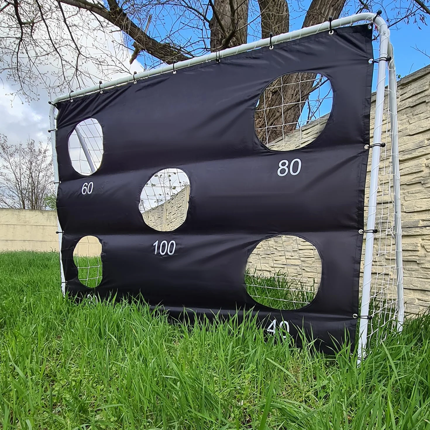 TRIZAND Fußballtor mit Torwand 170x240x85 cm Training für Garten Kinder 21268