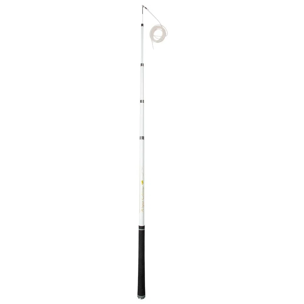ORIGINAL Wagner Teleskop Longierpeitsche I länger und Leichter als bei Anderen Herstellern I Insgesamt 7m lang I 3m Stab + 4m Schlag I nur 180gr. leicht I nur bei Uns: alle Segmente austauschbar I