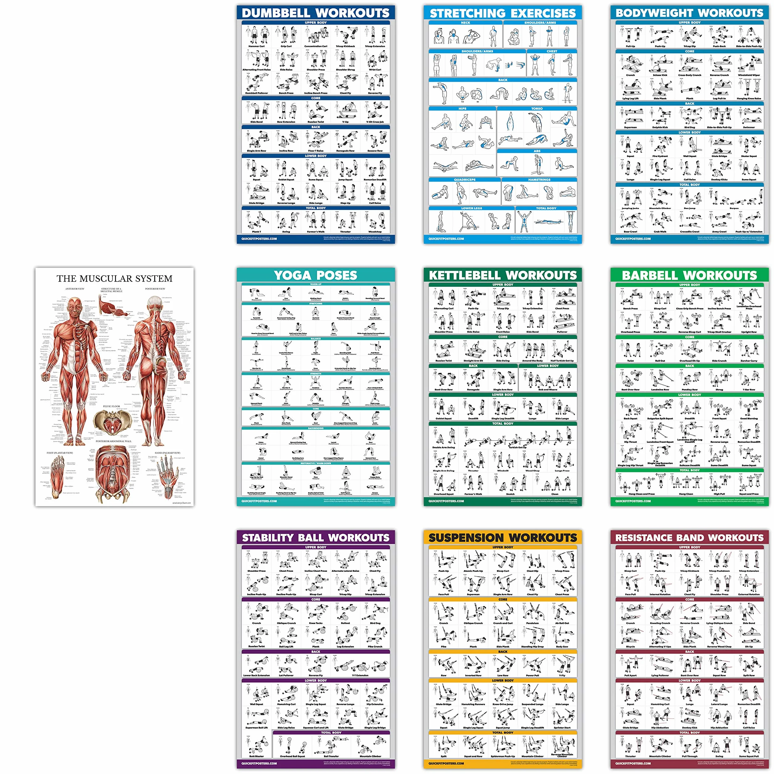 QUICKFIT 10 Pack - Exercise Workout Poster Set - Dumbbell, Suspension, Kettlebell, Resistance Bands, Stretching, Bodyweight, Barbell, Yoga Poses, Exercise Ball, Muscular System Chart - (18" x 27")