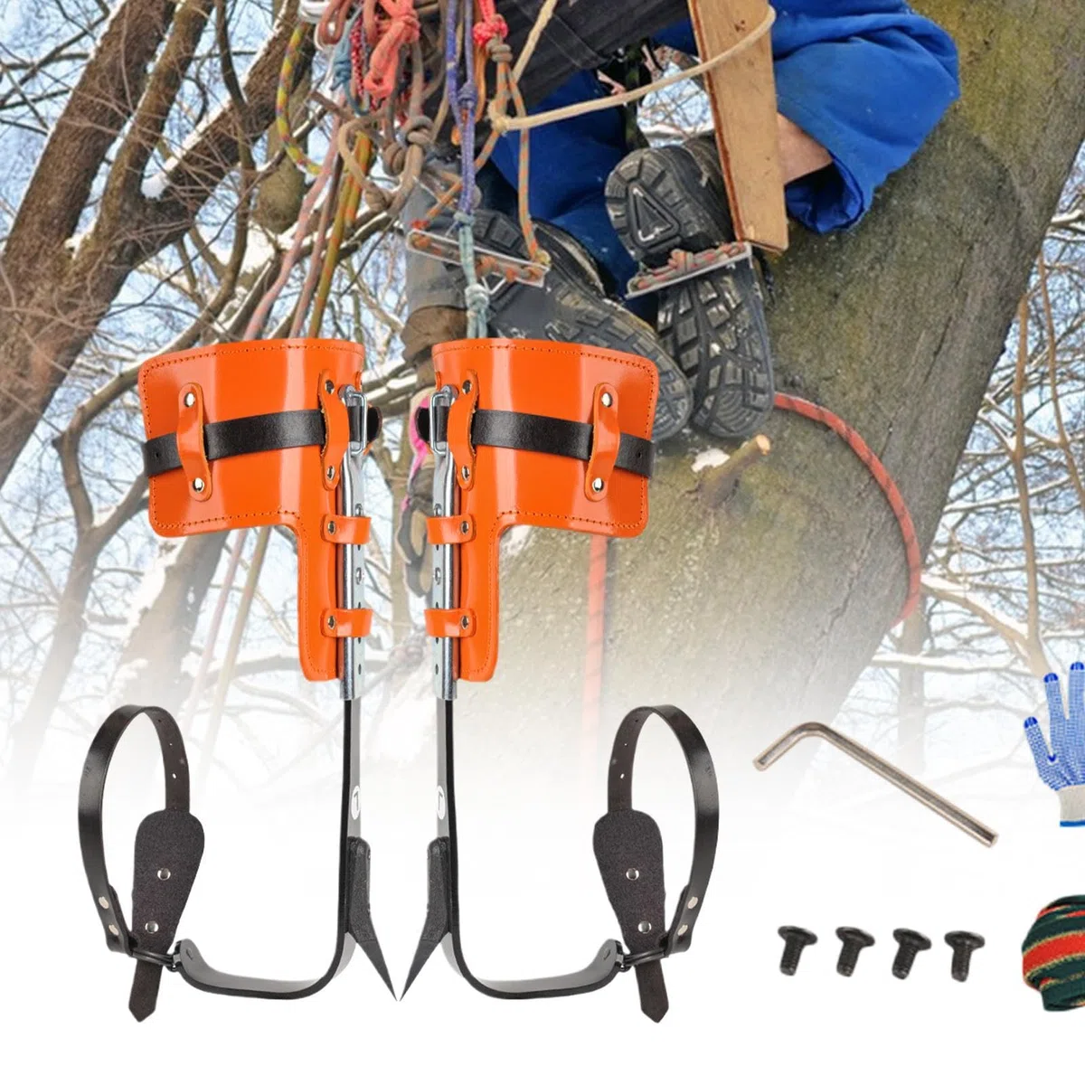 Baumkletterspikes – Obstpflücken, Baumkletterspikes, hochfest | Klettersport, Arbeitszubehör für Holzarbeiten, Beobachtung