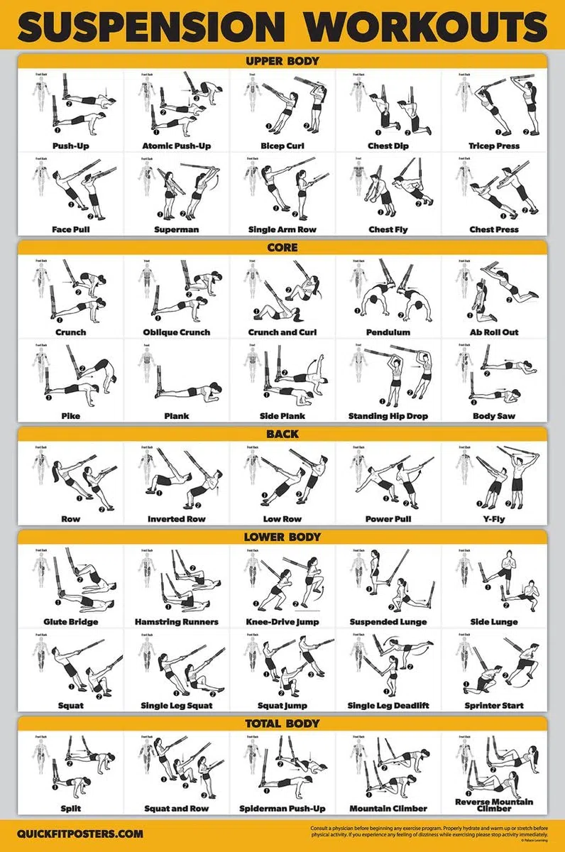 Palace Learning QuickFit Suspension Workout Übungsposter – doppelseitig, laminiert, 45,7 x 68,6 cm, laminiert, 18" x 27"