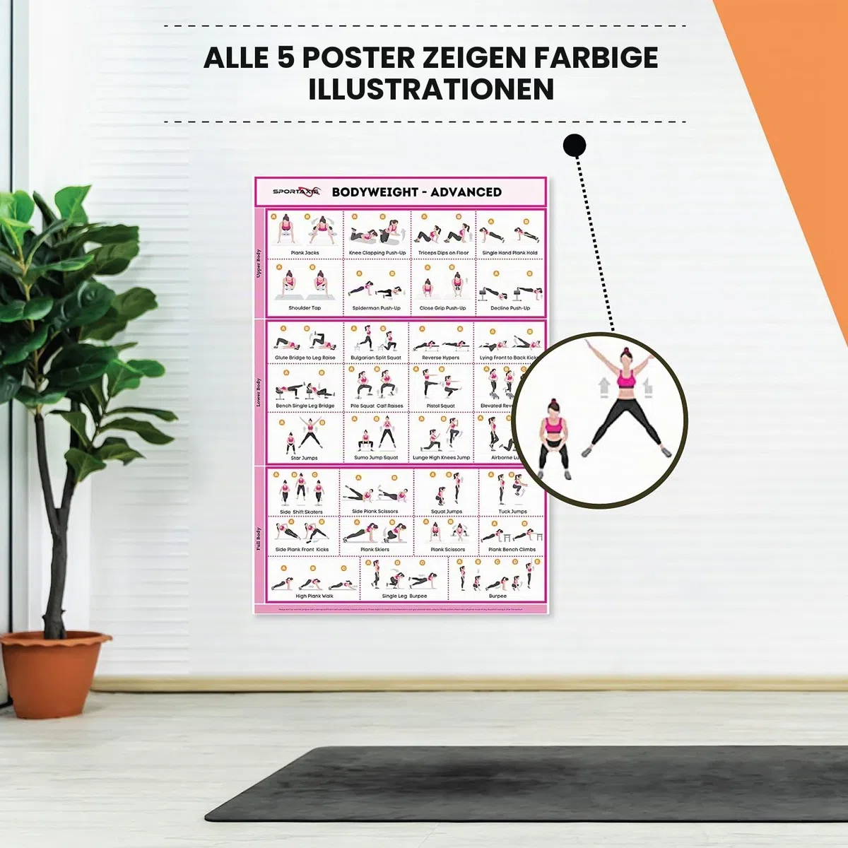 SPORTAXIS laminierte Workout-Poster für daheim ohne Geräte, Farbabbildungen, Bodyweight-Grund-/Aufbauübungen, Yoga, Abs-Training für Männer und Frauen, 45,7 x 68,6 cm, 5 Stück, englische Version