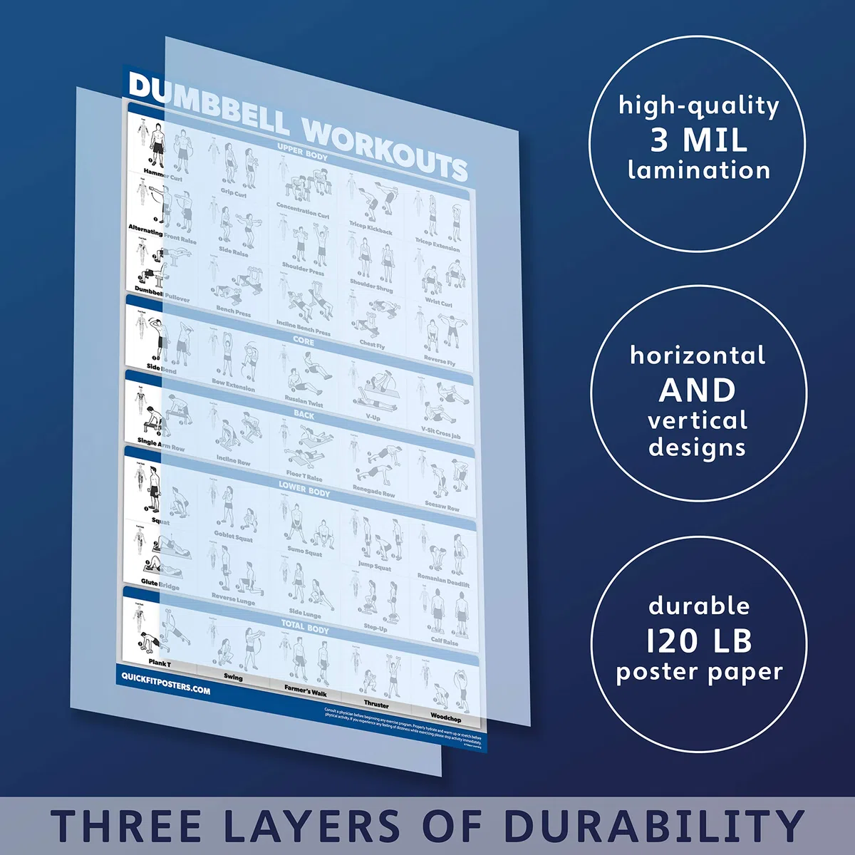 QUICKFIT Dumbell Workouts and Muscular System Anatomy Poster Set – laminiert 2 Diagramme Set – Kurzhantel Übung Routine & Muskel Anatomy Diagramm (laminiert, 45,7 x 68,6 cm)