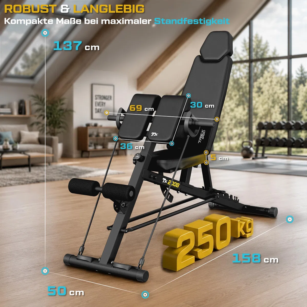 TREX SPORT Hantelbank verstellbar bis 250 kg mit Expander, Curlpult TX-200B | Multifunktions Trainingsbank, Flachbank für Ganzkörper-Workout, 8-Fach Verstellbare Rückenlehne & 3-Fach Verstellbarer Sitz