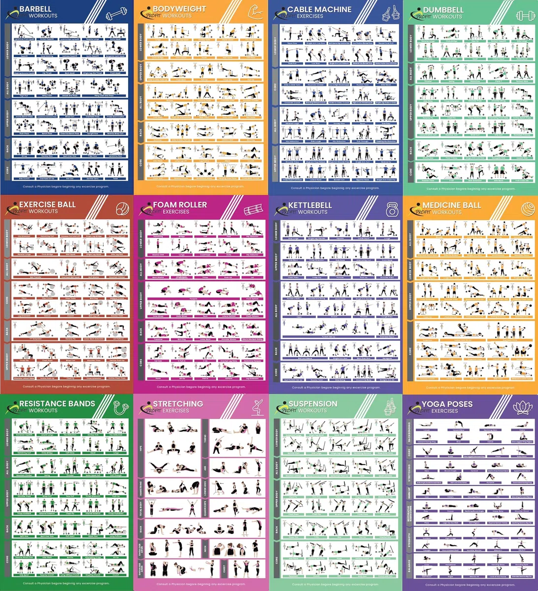Profit Neue Sportübung Fitnessstudio zu Hause – 12 Fitness-Poster, laminierte Folie für Übungen für Männer und Frauen, elastische Bänder, Yoga, Kugelhanteln, Hanteln usw