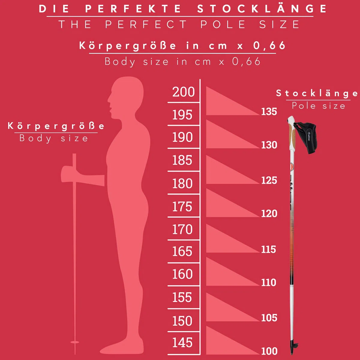 ATTRAC Nordic Walking Stöcke Aluminium | Handgelenkschlaufen inklusive | Mit Nordic Walking/Fitness App | Leichtgewicht | Stoßdämpfend - 110cm