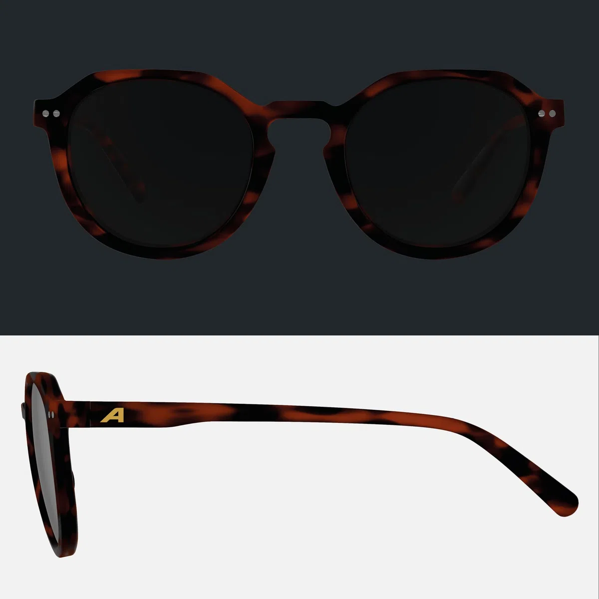 ALPINA Sneek II, stylische Sonnenbrille für Erwachsene, 100% UV-A, B, C-Schutz