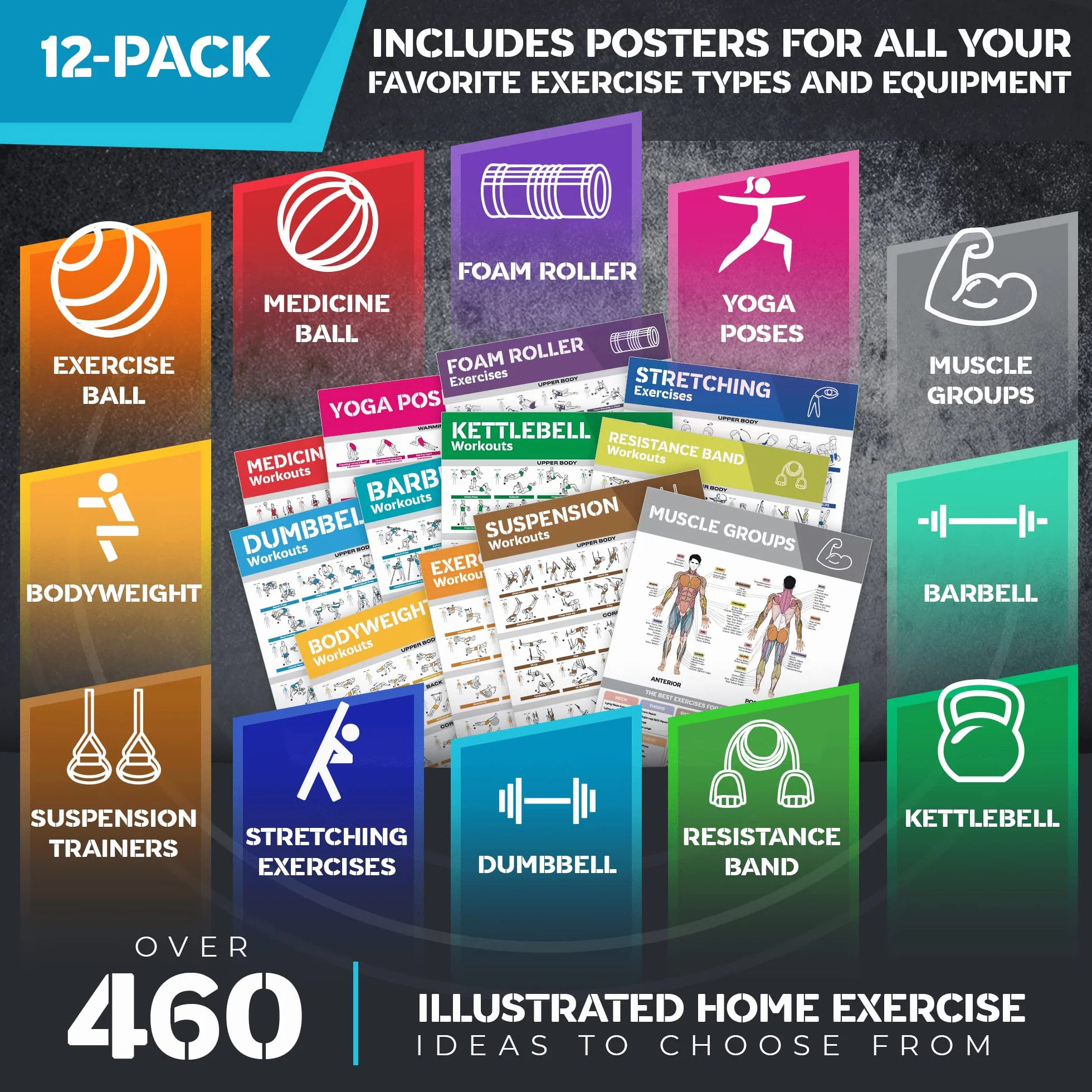 Laminiertes großes Workout-Poster-Set – perfekte Workout-Poster für das Fitnessstudio zu Hause – inkl.Übungstabellen, 12er-Set Hantel-, Yoga-Posen, Widerstandsband-, Kugelhantel-, Stretching- usw.