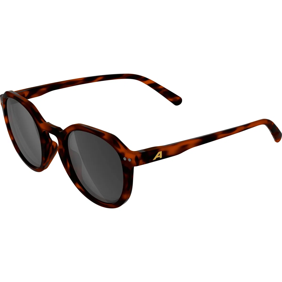 ALPINA Sneek II, stylische Sonnenbrille für Erwachsene, 100% UV-A, B, C-Schutz